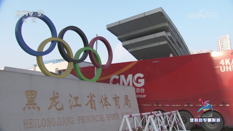 与鹈鹕的比